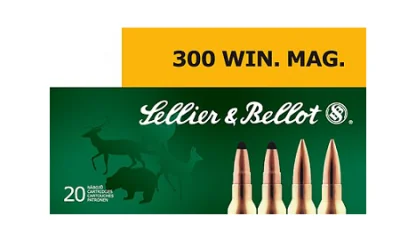 300-win-mag-1200x700